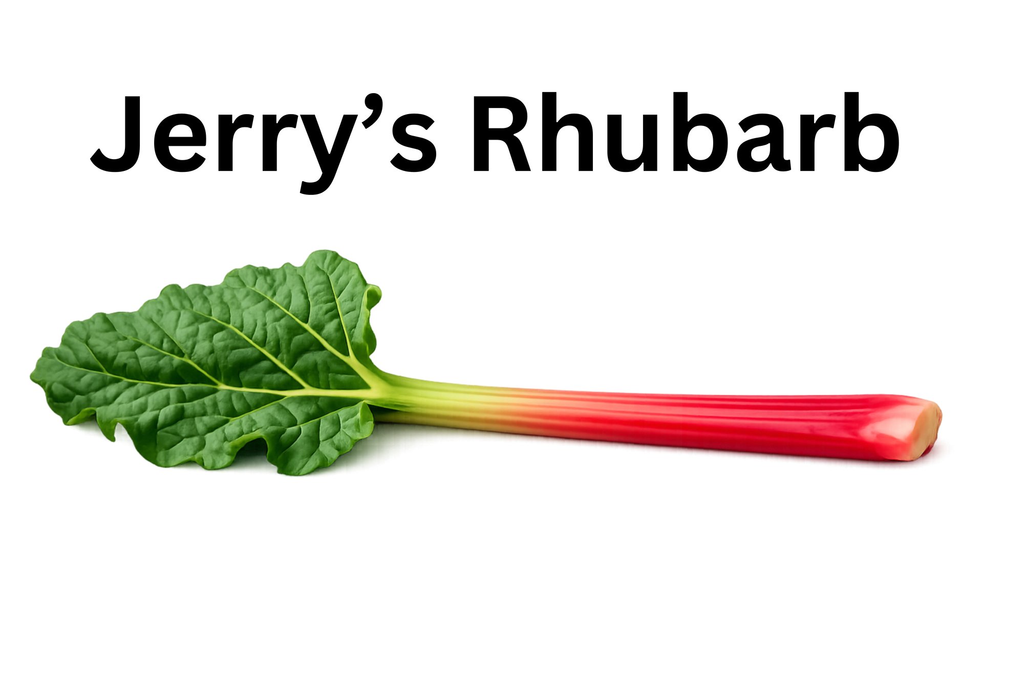 Jerry’s Rhubarb